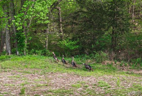 Tiny photo for TBD 00 County Road 274 #115, Chamois, MO 65024 (MLS # 26030207)