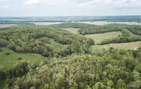 Photo of TBD 00 County Road 274 #115, Chamois, MO 65024 (MLS # 26030207)