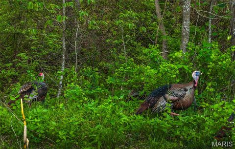 Tiny photo for TBD 00 County Road 274 #115, Chamois, MO 65024 (MLS # 26030207)