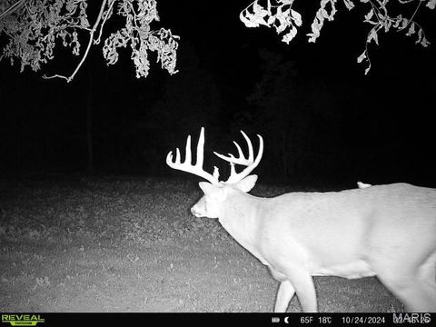 Tiny photo for TBD 00 County Road 274 #115, Chamois, MO 65024 (MLS # 26030207)