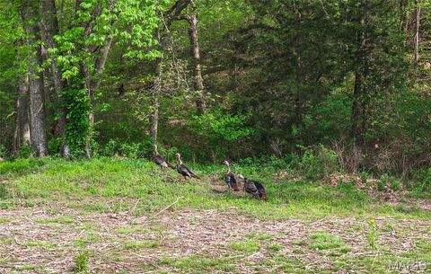 Tiny photo for TBD 00 County Road 274 #115, Chamois, MO 65024 (MLS # 26030207)