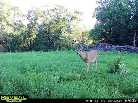 Tiny photo for TBD 00 County Road 274 #115, Chamois, MO 65024 (MLS # 26030207)