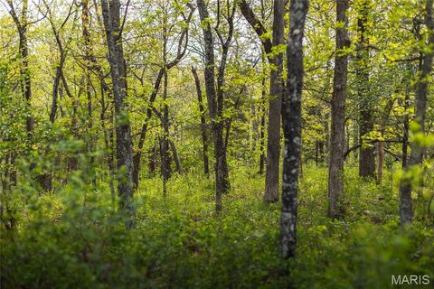 Tiny photo for TBD 00 County Road 274 #115, Chamois, MO 65024 (MLS # 26030207)
