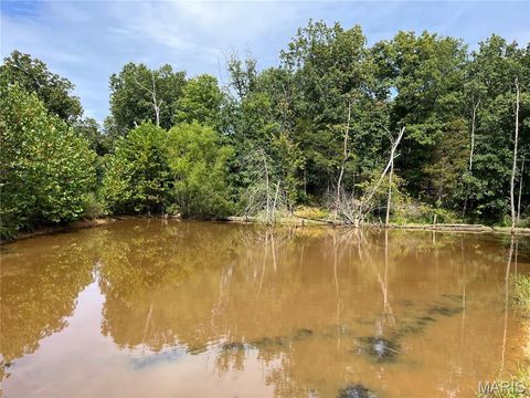 Tiny photo for 0 Pike 279, Bowling Green, MO 63334 (MLS # 25062485)