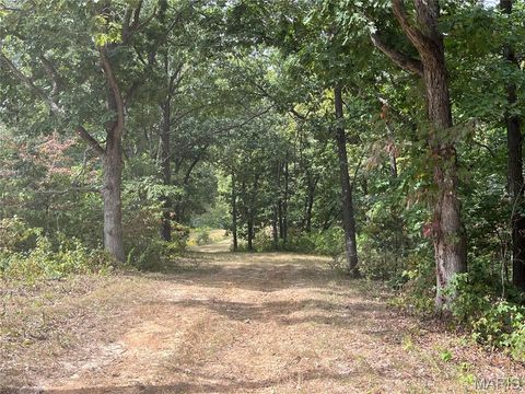 Tiny photo for 0 Pike 279, Bowling Green, MO 63334 (MLS # 25062485)
