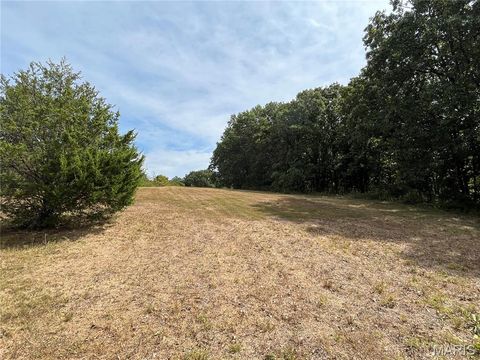 Tiny photo for 0 Pike 279, Bowling Green, MO 63334 (MLS # 25062485)