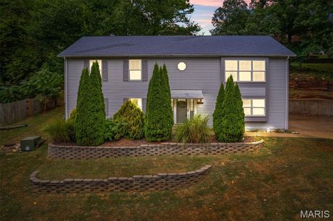 5161 N Royale Drive Imperial MO 63052