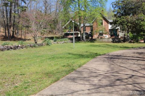 Photo of 711 W Russell Street, Ironton, MO 63650 (MLS # 26022763)