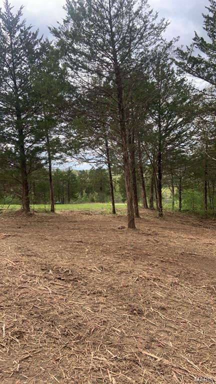 Buck Creek Crossing - Land