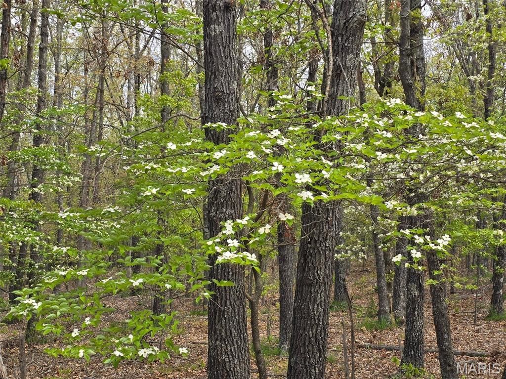Photo of Tract D Golden Lane, Lebanon, MO 65536 (MLS # 26019741)