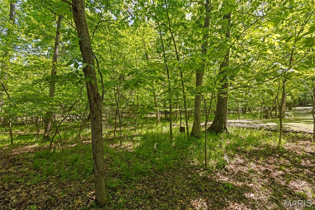 Photo of 677 Whitetail Creek Drive, Innsbrook, MO 63390 (MLS # 26026472)