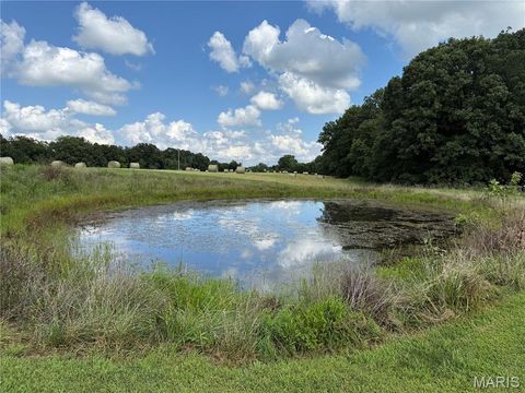 Tiny photo for 17351 Highway NN, Bowling Green, MO 63334 (MLS # 25054947)