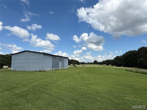 Tiny photo for 17351 Highway NN, Bowling Green, MO 63334 (MLS # 25054947)