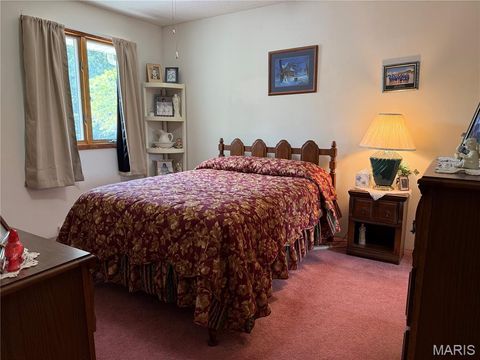 Tiny photo for 17351 Highway NN, Bowling Green, MO 63334 (MLS # 25054947)