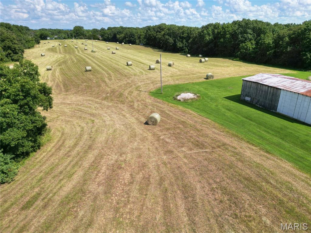 None - Farm