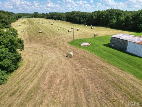 Tiny photo for 17351 Highway NN, Bowling Green, MO 63334 (MLS # 25054947)
