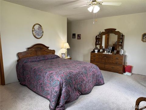 Tiny photo for 17351 Highway NN, Bowling Green, MO 63334 (MLS # 25054947)