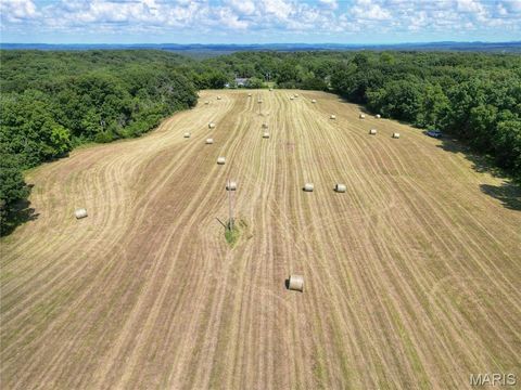 Tiny photo for 17351 Highway NN, Bowling Green, MO 63334 (MLS # 25054947)