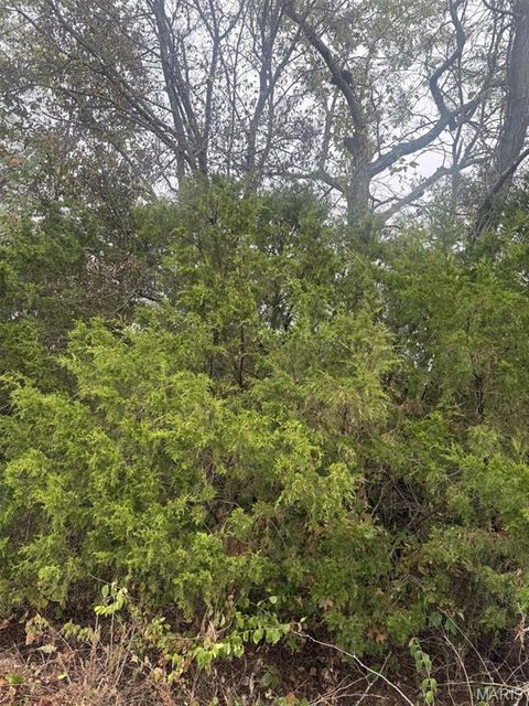 Lot 2 Hilltop Acres Drive Washington MO 63090