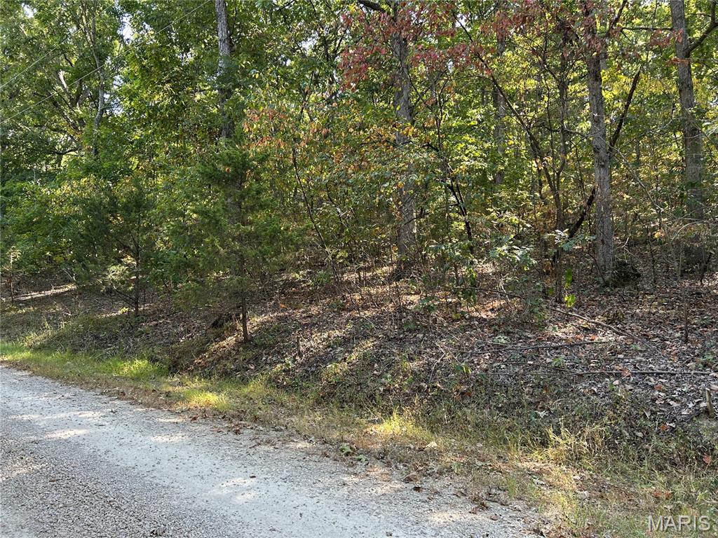 Enchanted Forest - Land