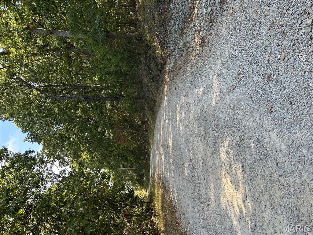 Enchanted Forest - Land