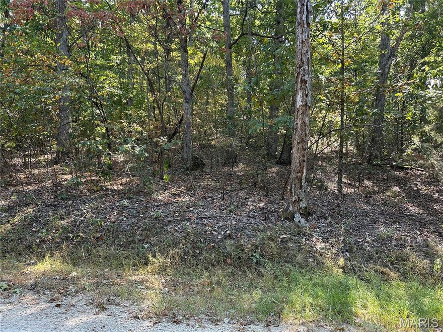 This 6.74 acre wooded lot in King Arthur's Court subdivision offers an ideal setting for building your dream home, nestled within the North County School District. Its gentle slope provides versatile design options while maintaining a natural, serene environment. Perfect for those seeking privacy and scenic beauty, this property presents a fantastic opportunity to create a customized residence in a peaceful area.