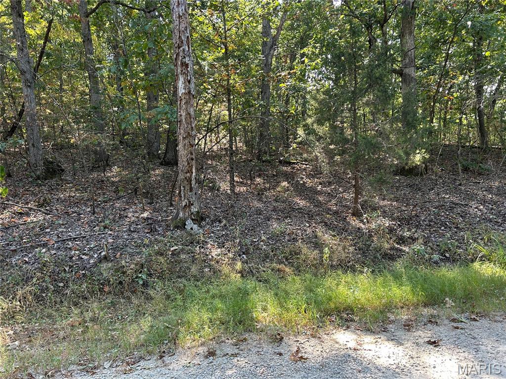 Enchanted Forest - Land