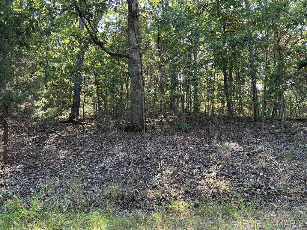 Enchanted Forest - Land