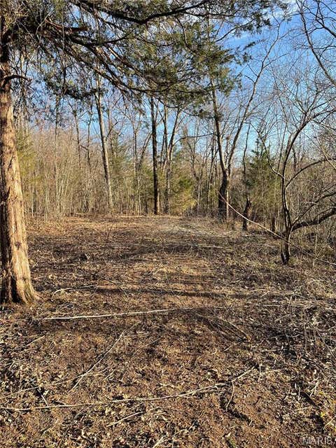 Tiny photo for 0 353, Piedmont, MO 63957 (MLS # 26047075)