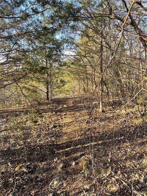 Tiny photo for 0 353, Piedmont, MO 63957 (MLS # 26047075)