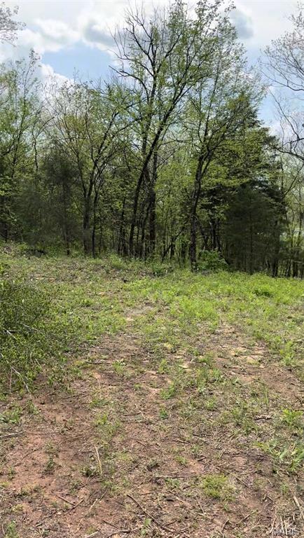 Tiny photo for 0 353, Piedmont, MO 63957 (MLS # 26047075)