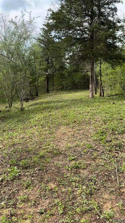 Tiny photo for 0 353, Piedmont, MO 63957 (MLS # 26047075)