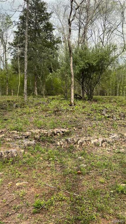 Tiny photo for 0 353, Piedmont, MO 63957 (MLS # 26047075)