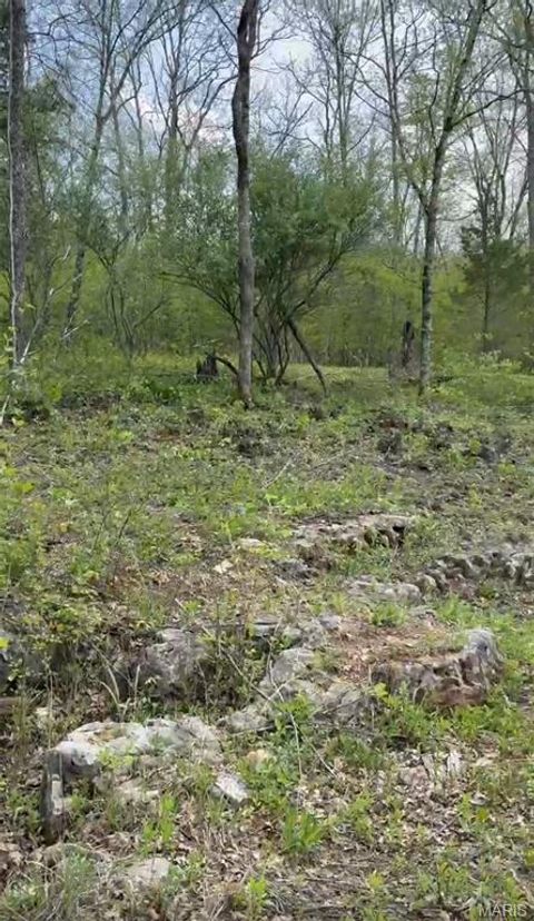 Tiny photo for 0 353, Piedmont, MO 63957 (MLS # 26047075)