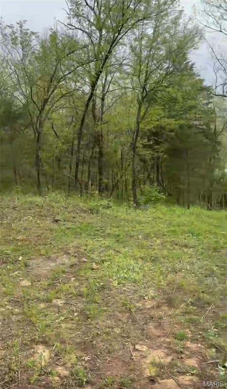 Tiny photo for 0 353, Piedmont, MO 63957 (MLS # 26047075)