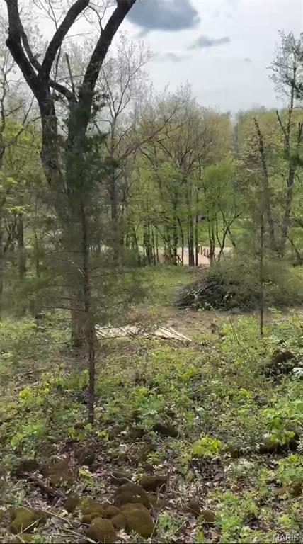Tiny photo for 0 353, Piedmont, MO 63957 (MLS # 26047075)