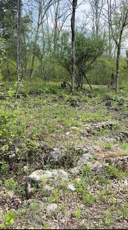 Tiny photo for 0 353, Piedmont, MO 63957 (MLS # 26047075)