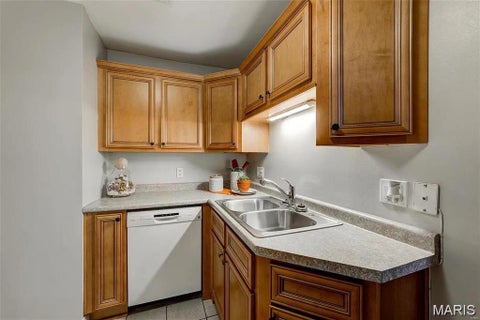 Tiny photo for 4256 Maryland Avenue #LLE, St Louis, MO 63108 (MLS # 26046945)