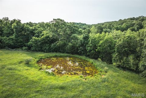 Tiny photo for Cook Station, MO 65449 (MLS # 25009879)