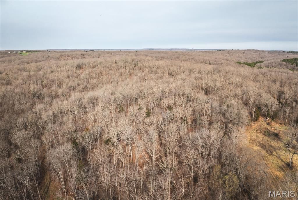 Photo of 000 County Road 3600 Tract 1, St James, MO 65559 (MLS # 26015659)