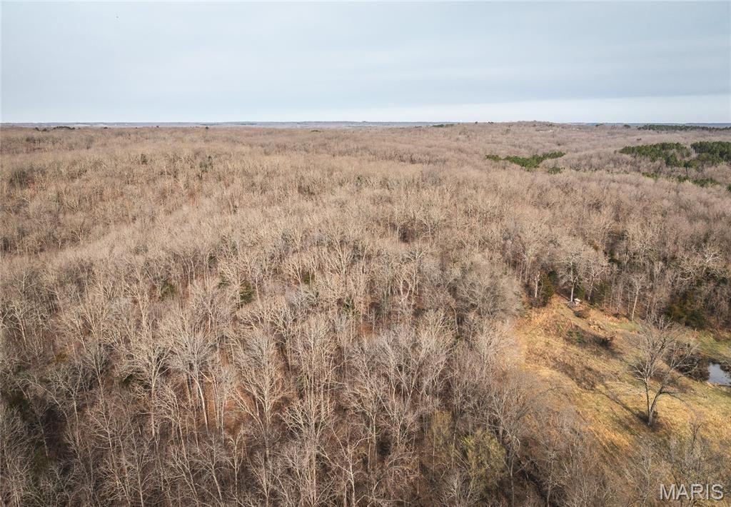 Photo of 000 County Road 3600 Tract 1, St James, MO 65559 (MLS # 26015659)