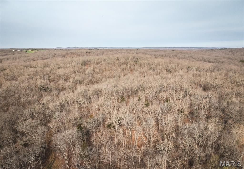 Photo of 000 County Road 3600 Tract 1, St James, MO 65559 (MLS # 26015659)