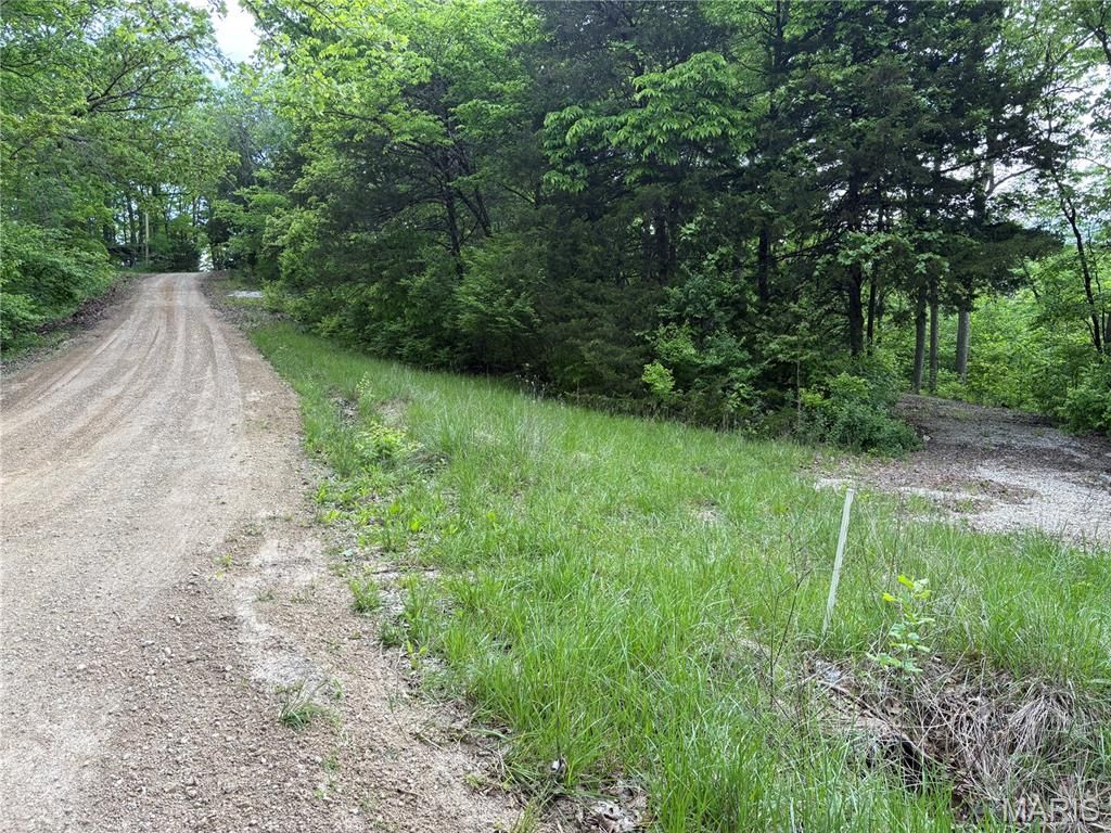Photo of 52 Lake Shore Drive, New Florence, MO 63363 (MLS # 26027253)