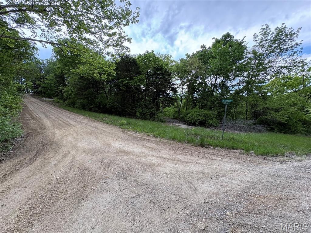 Photo of 52 Lake Shore Drive, New Florence, MO 63363 (MLS # 26027253)