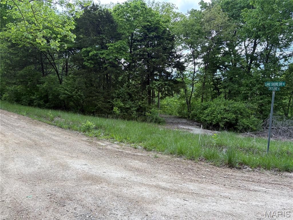 Photo of 52 Lake Shore Drive, New Florence, MO 63363 (MLS # 26027253)