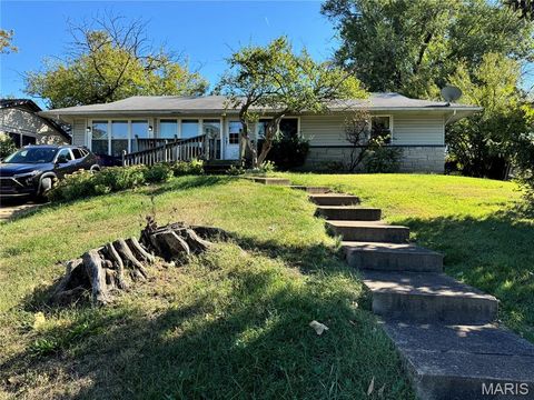 Photo of 740 Montego Drive, Crestwood, MO 63126 (MLS # 25072007)