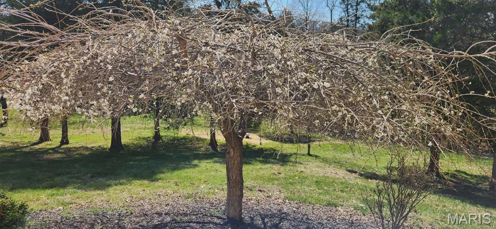 Hollow Hill - Residential