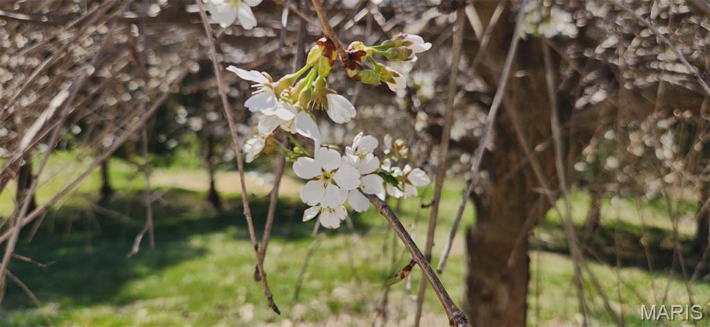 Hollow Hill - Residential