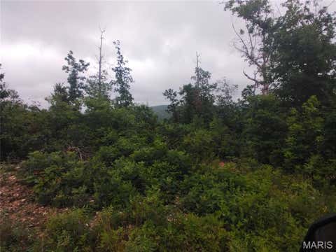 Tiny photo for 4 Off Highway O, Belleview, MO 63623 (MLS # 26040352)
