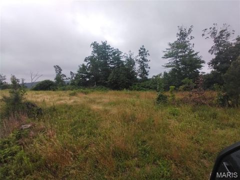 Photo of 4 Off Highway O, Belleview, MO 63623 (MLS # 26040352)